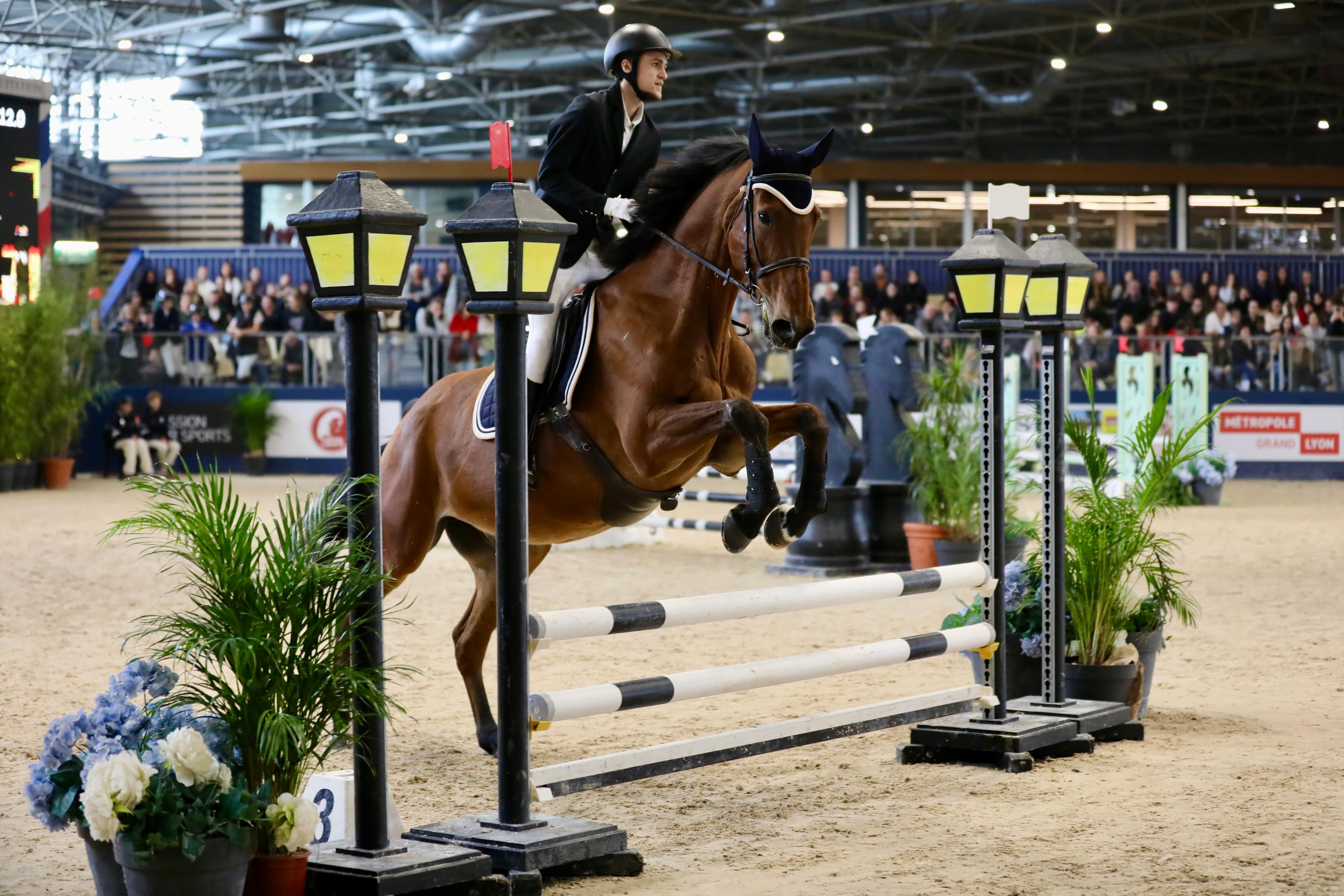Horse riding — photo 2