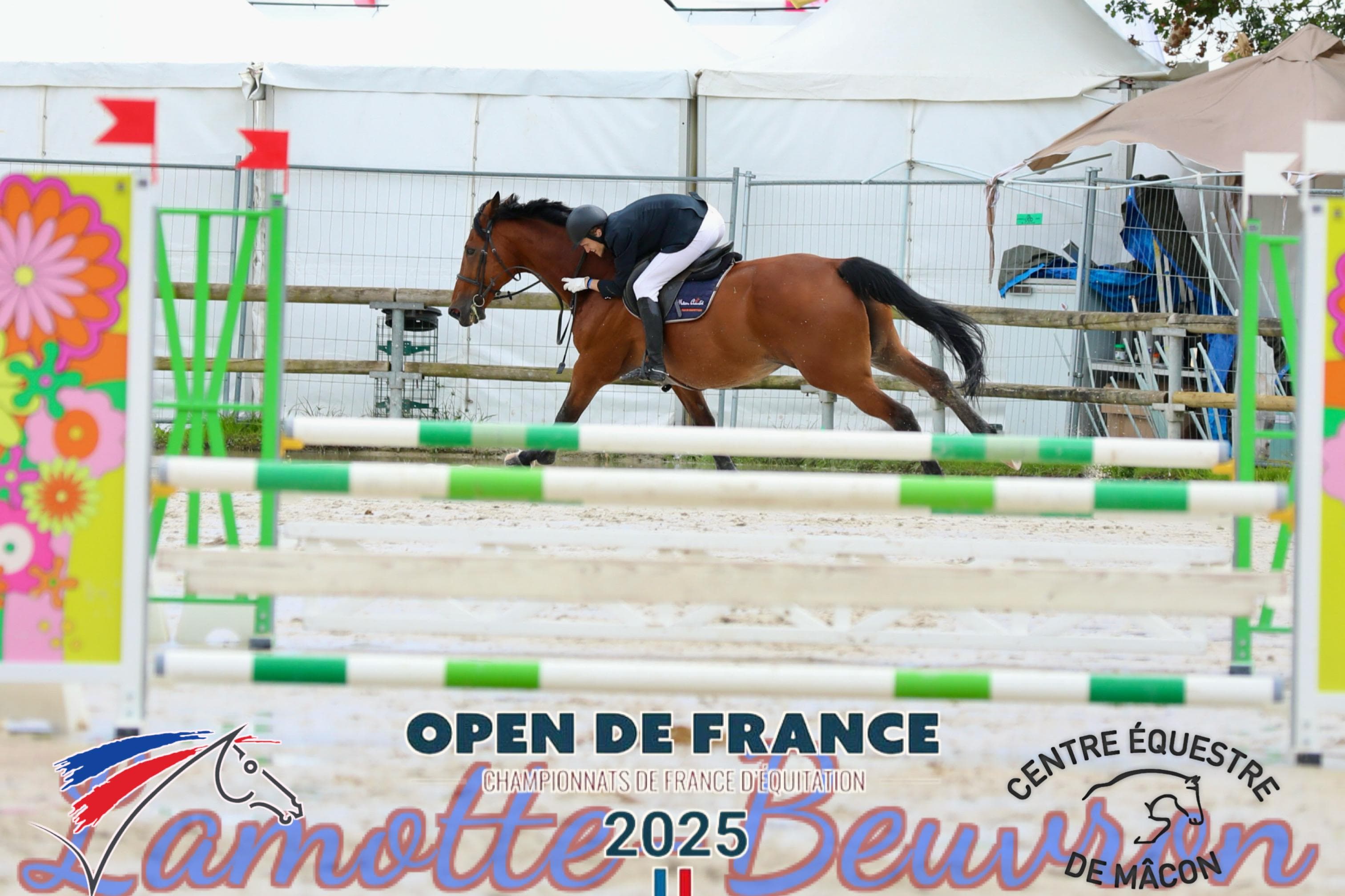 Horse riding — photo 3